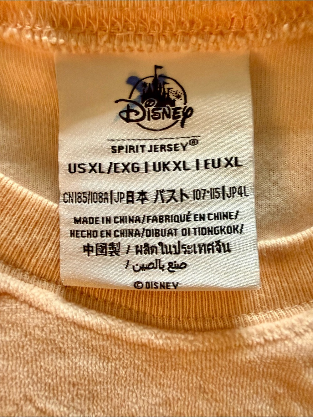 Disney Peach Velour Spirit Jersey with Satin Letters and Embroidered Sleeves - Picture 5 of 5